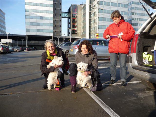 Links Westie Witty en rechts Westie Floortje